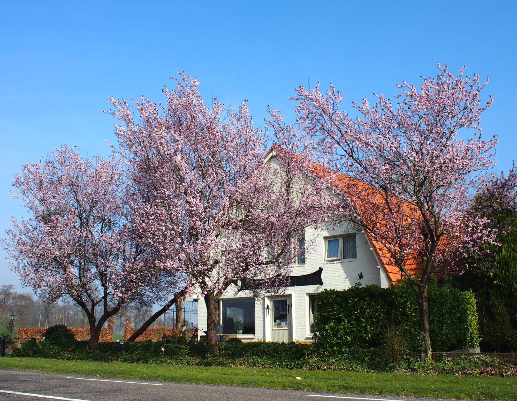 B&B Sagenland Harbrinkhoek Eksteriør billede